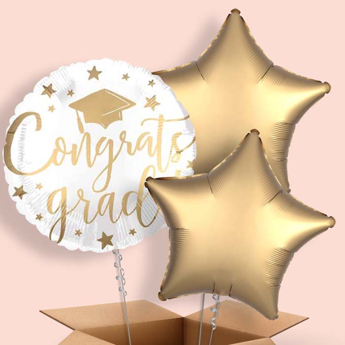White Graduation Helium Balloons in a Box - 3 Balloon | Small Indoor Plants