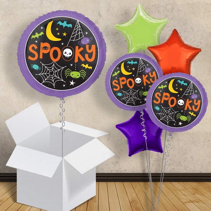 Balloon Spider Web in a Box - 1 Balloon | Small Indoor Plants