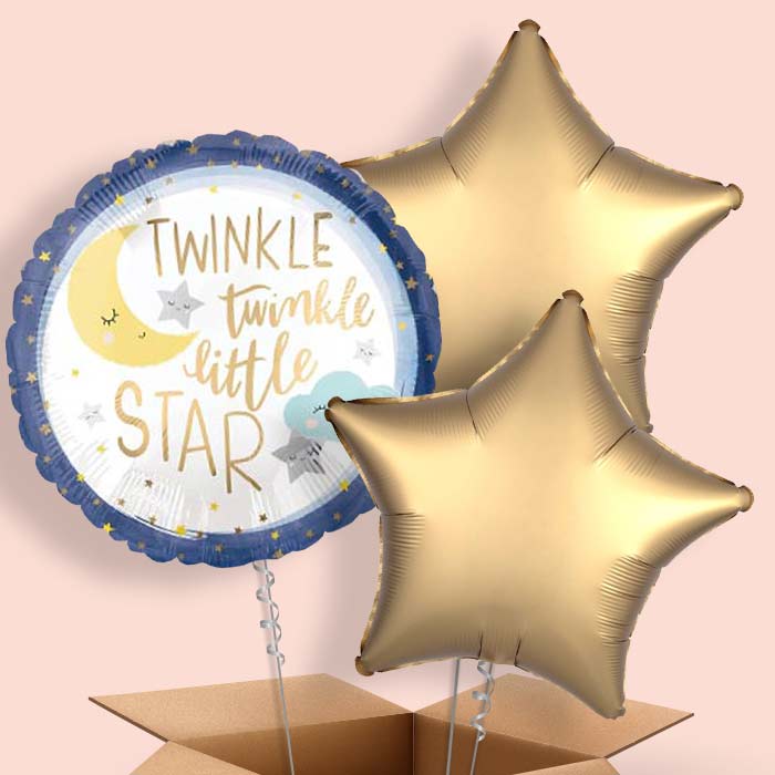 Twinkle Twinkle Little Star Balloons in a Box - 3 Balloon | Small Indoor Plants