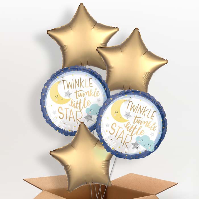 Twinkle Twinkle Little Star Balloons in a Box - 5 Balloon | Small Indoor Plants