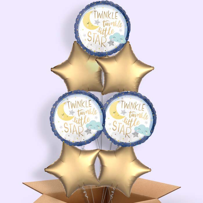 Twinkle Twinkle Little Star Balloons in a Box - 7 Balloon | Small Indoor Plants