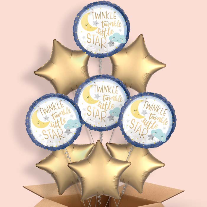 Twinkle Twinkle Little Star Balloons in a Box - 9 Balloon | Small Indoor Plants