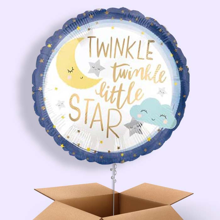 Twinkle Twinkle Little Star Balloons in a Box - 1 Balloon | Small Indoor Plants