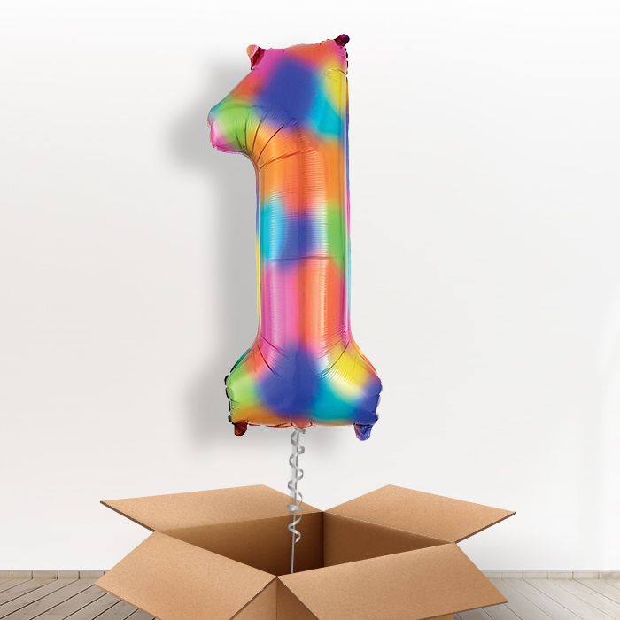 Rainbow Helium Balloon 1 in a Box - Giant Number | Small Indoor Plants