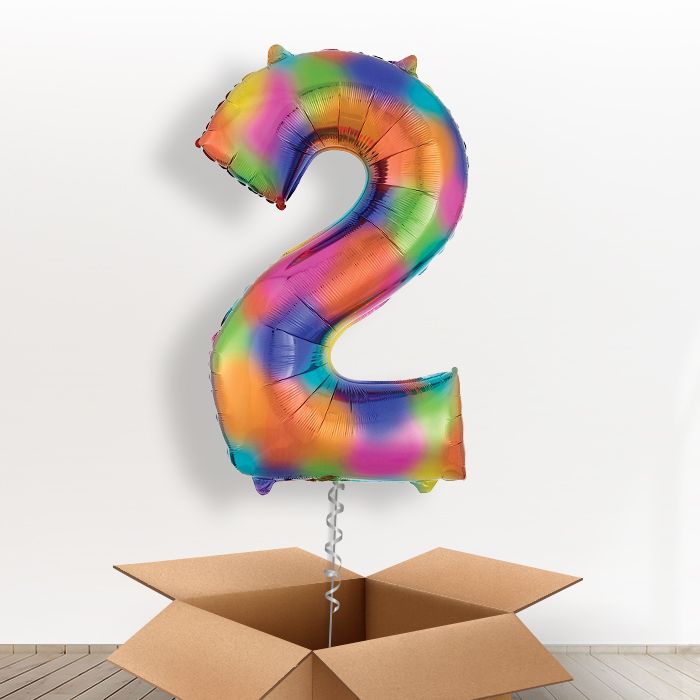 Rainbow Number 2 Balloon Number in a Box - Giant Number | Small Indoor Plants