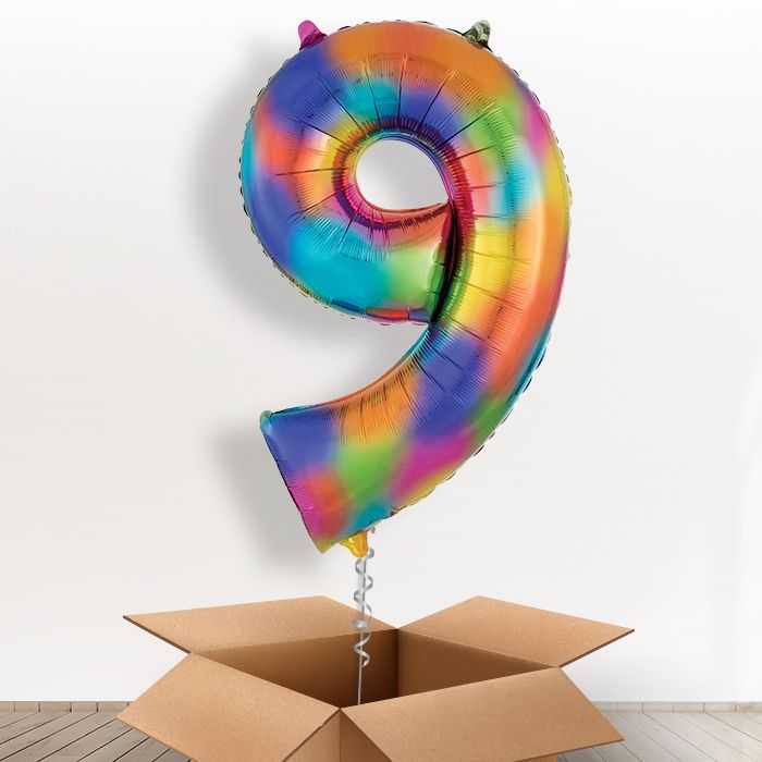 Rainbow Number 9 Balloon in a Box - Giant Number | Small Indoor Plants