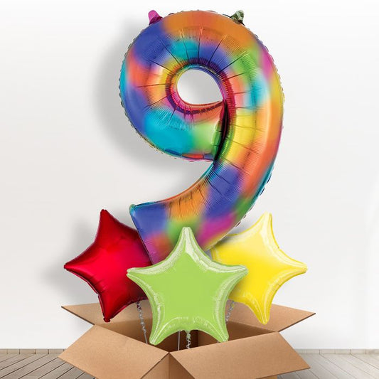 Rainbow Number 9 Balloon in a Box - Giant Number and 3 Balloons | Small Indoor Plants