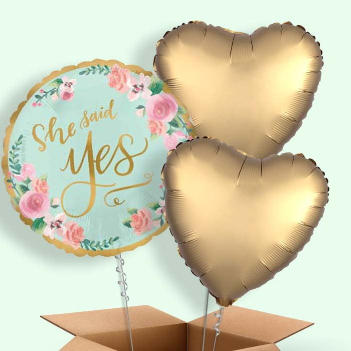 Mint to Be Hen Party & Engagement Balloon in a Box - 3 Balloon | Small Indoor Plants