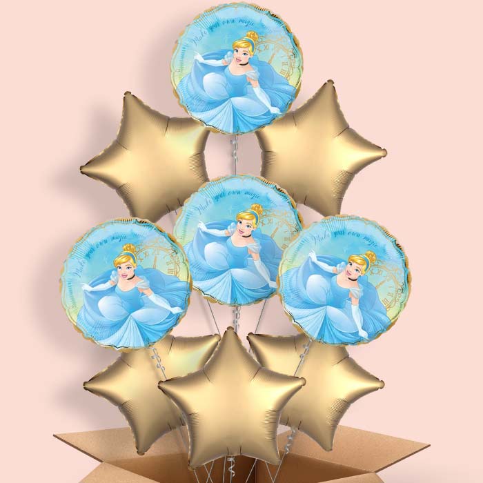 Cinderella Helium Balloon in a Box - 9 Balloon | Small Indoor Plants