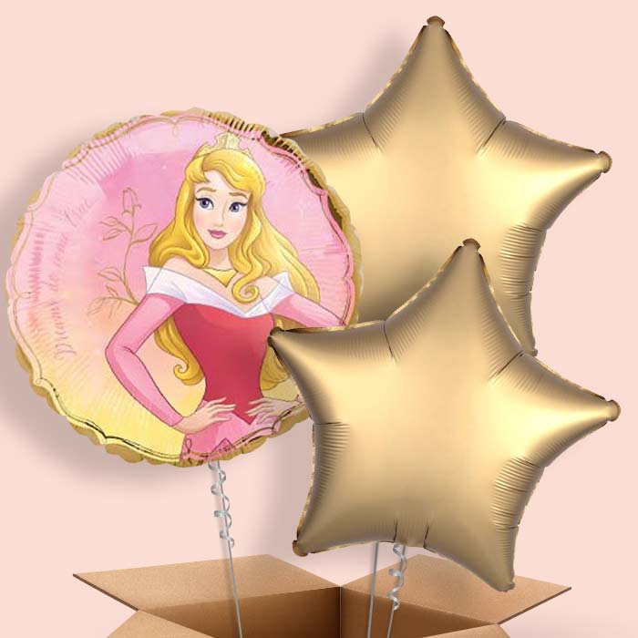 Aurora Helium Balloon in a Box - 3 Balloon | Small Indoor Plants