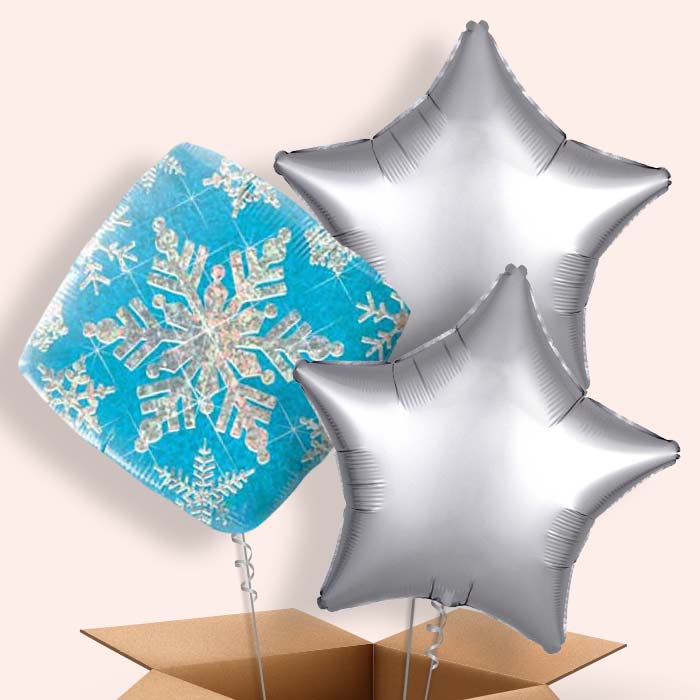 Holographic Blue Snowflakes Balloon in a Box - 3 Balloon | Small Indoor Plants