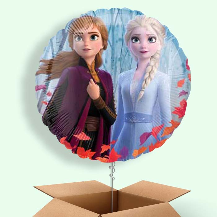 Elsa and Anna Frozen Theme Balloons in a Box - 1 Balloon | Small Indoor Plants