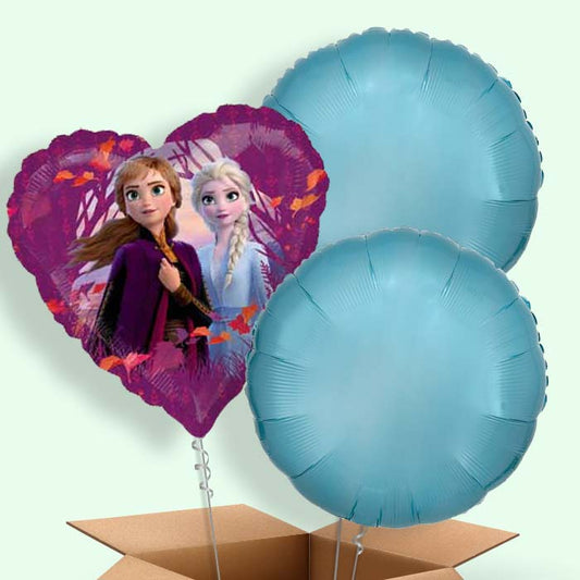 Heart Frozen 2 Balloons in a Box - 3 Balloon | Small Indoor Plants