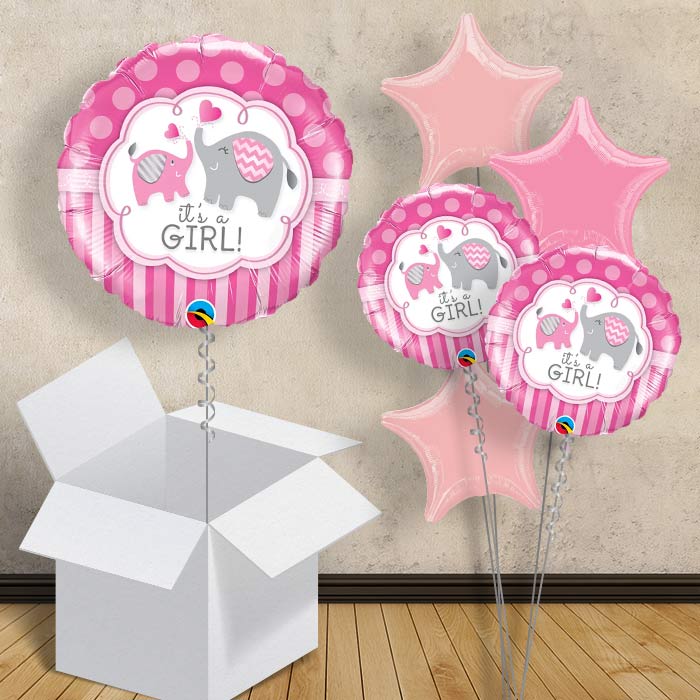Baby Girl Shower Balloons in a Box (Elephant) - 1 Balloon | Small Indoor Plants