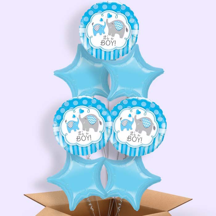 Welcome Home Baby Boy Balloons in a Box (Elephant) - 7 Balloon | Small Indoor Plants