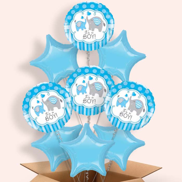 Welcome Home Baby Boy Balloons in a Box (Elephant) - 9 Balloon | Small Indoor Plants