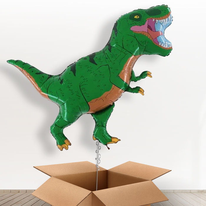 Giant Green T Rex Balloon in a Box - Giant Balloon | Small Indoor Plants