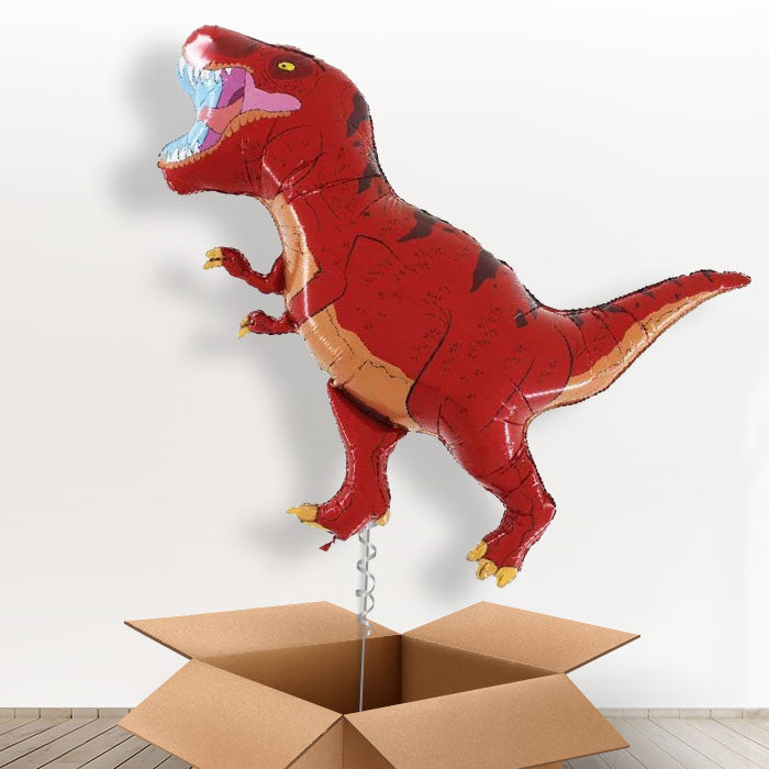 Red T Rex Balloons in a Box - Giant Balloon | Small Indoor Plants