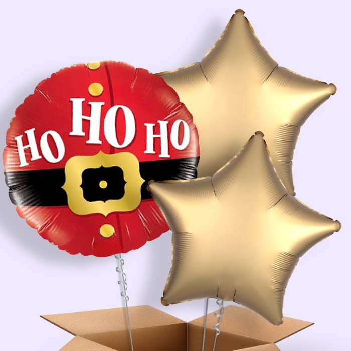 Santa Balloon in a Box - Ho Ho Ho - 3 Balloon | Small Indoor Plants