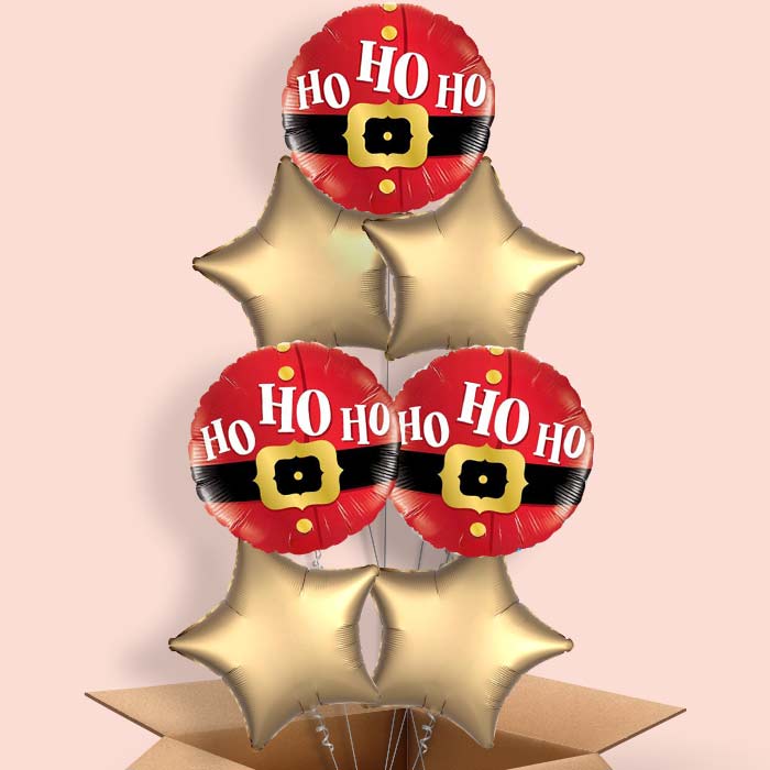 Santa Balloon in a Box - Ho Ho Ho - 7 Balloon | Small Indoor Plants