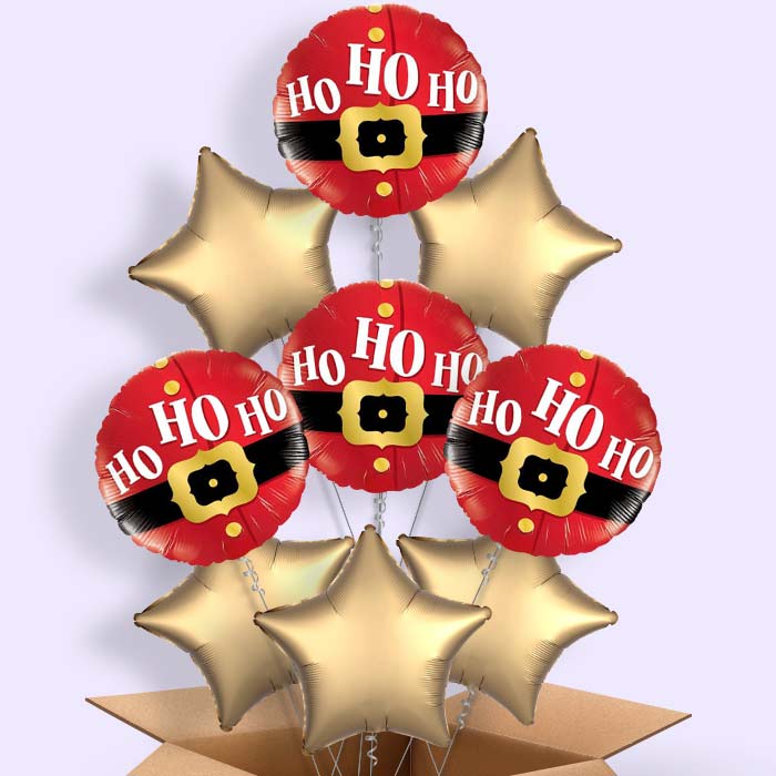 Santa Balloon in a Box - Ho Ho Ho - 9 Balloon | Small Indoor Plants