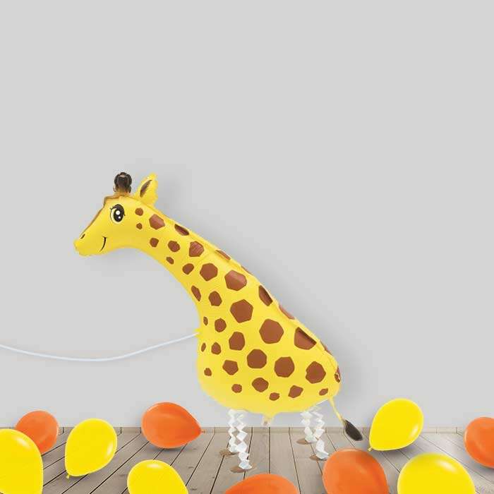 P-BOX53650-1-x-Walking-Balloon-and-Latex_127b447c-a8f0-4b41-9f9a-300a7c03c01d