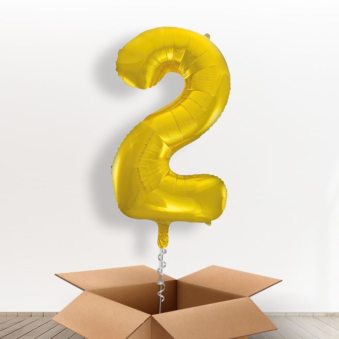 Big Gold Number 2 Balloon Inflated Number in a Box - Giant Number | Small Indoor Plants