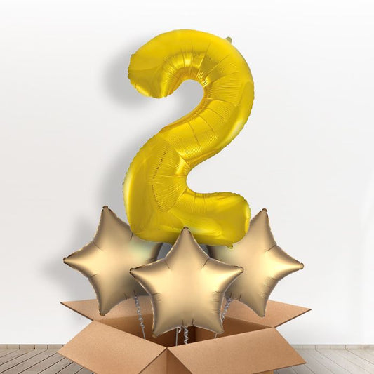 Big Gold Number 2 Balloon Inflated Number in a Box - Giant Number and 3 Balloons | Small Indoor Plants