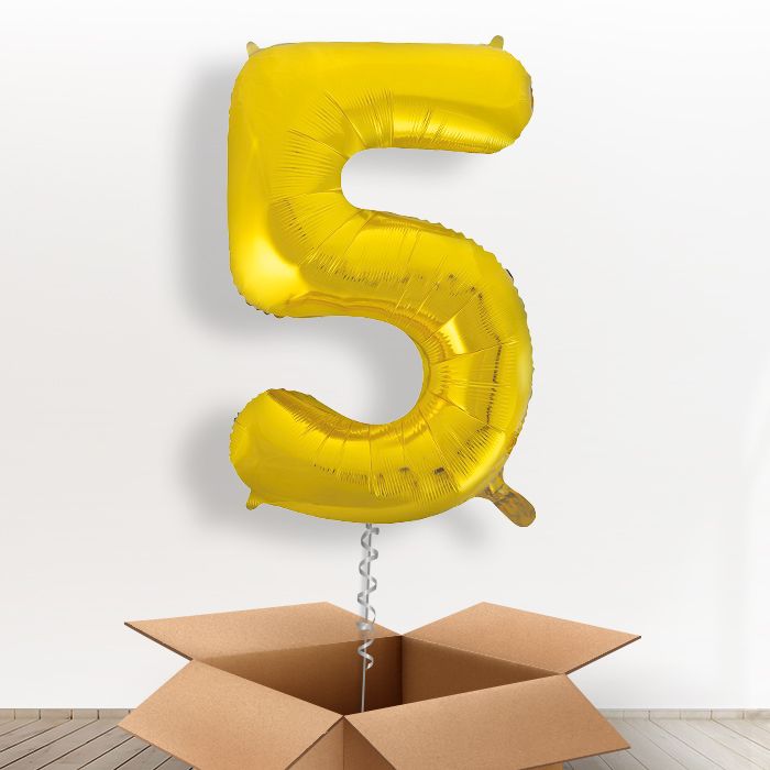 Big Gold Number 5 Balloon Inflated Number in a Box - Giant Number | Small Indoor Plants