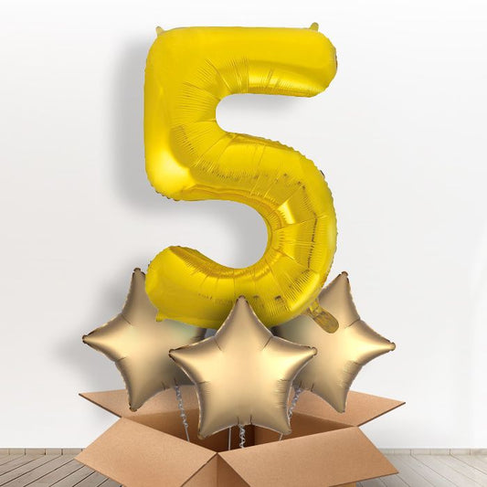 Big Gold Number 5 Balloon Inflated Number in a Box - Giant Number and 3 Balloons | Small Indoor Plants