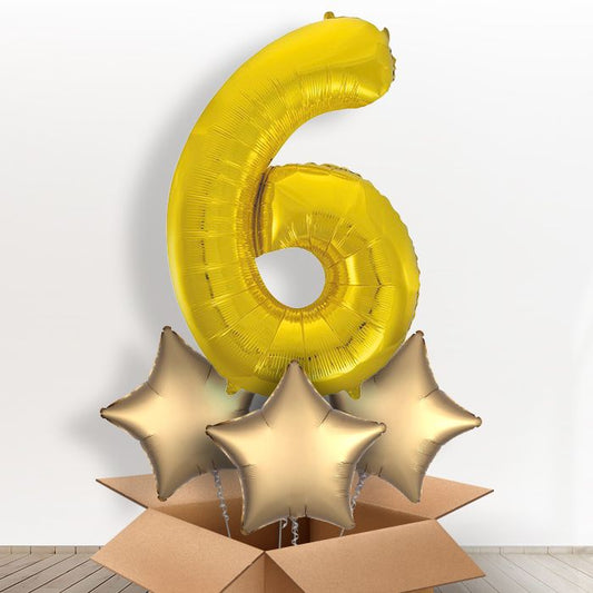 Gold Giant Number 6 Balloon in a Box Gift - Giant Number and 3 Balloons | Small Indoor Plants