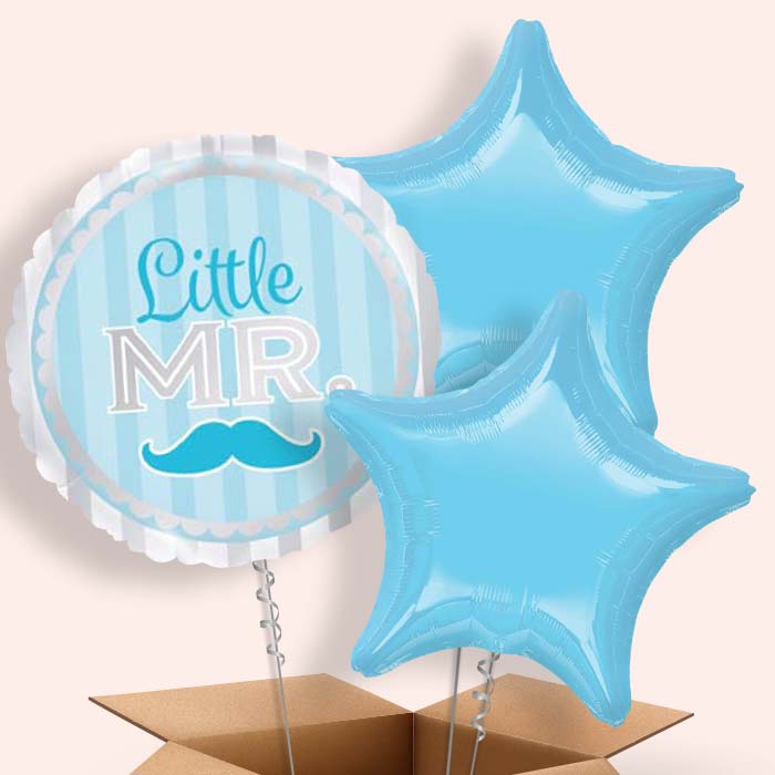 Little Mr Baby Shower Balloons in a Box - 3 Balloon | Small Indoor Plants