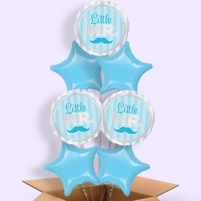 Little Mr Baby Shower Balloons in a Box - 7 Balloon | Small Indoor Plants