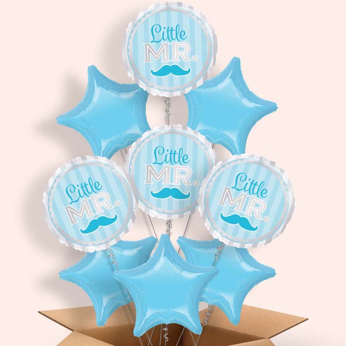 Little Mr Baby Shower Balloons in a Box - 9 Balloon | Small Indoor Plants