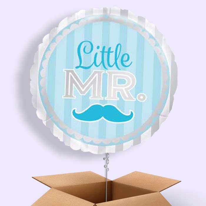 Little Mr Baby Shower Balloons in a Box - 1 Balloon | Small Indoor Plants