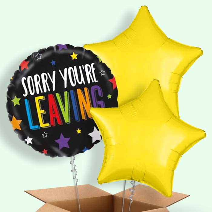 Sorry Your Leaving Balloons in a Box (Stars) - 3 Balloon | Small Indoor Plants