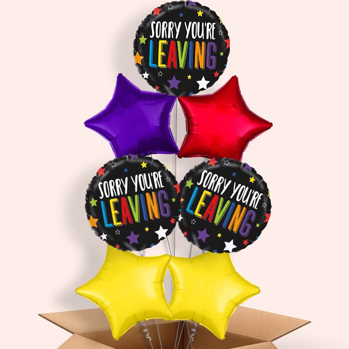 Sorry Your Leaving Balloons in a Box (Stars) - 7 Balloon | Small Indoor Plants