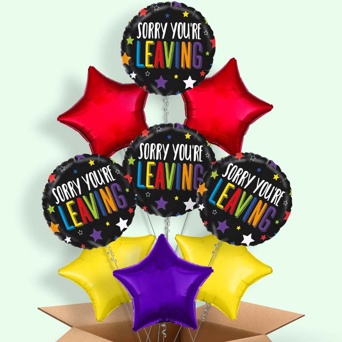 Sorry Your Leaving Balloons in a Box (Stars) - 9 Balloon | Small Indoor Plants