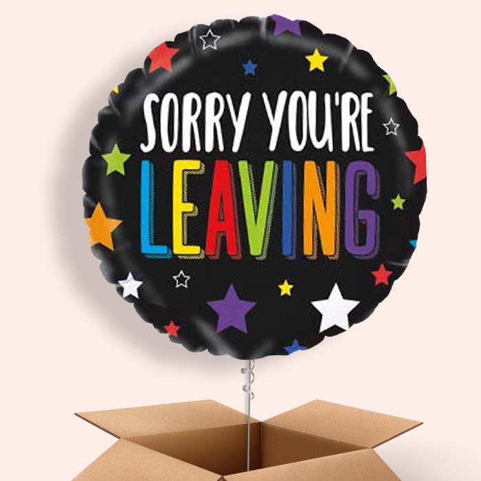 Sorry Your Leaving Balloons in a Box (Stars) - 1 Balloon | Small Indoor Plants