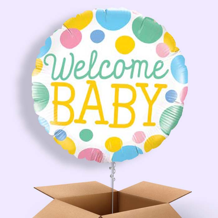 Welcome Baby Balloons in a Box (Blue) - 1 Balloon | Small Indoor Plants