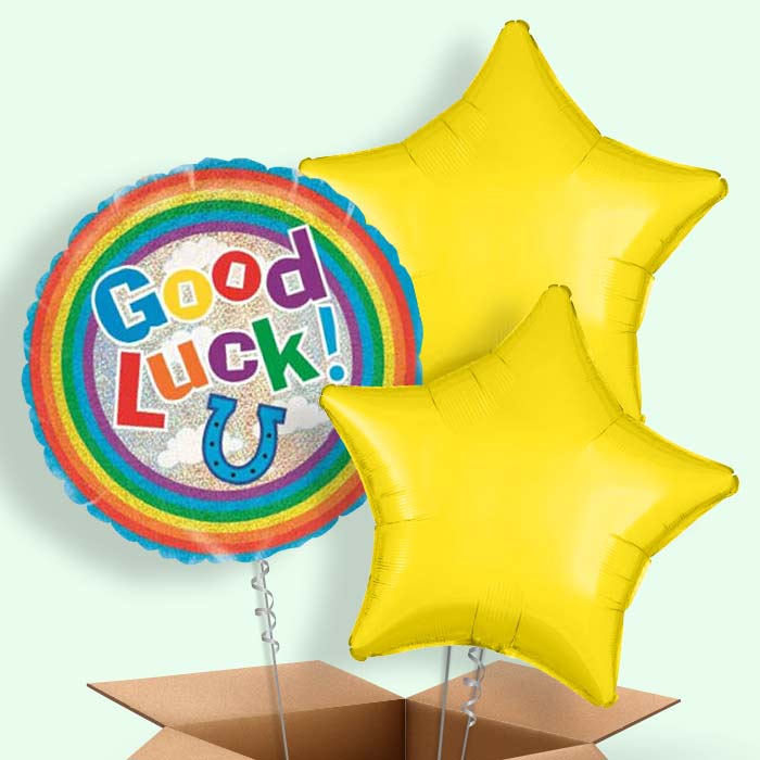 Good Luck Balloons in a Box (Horse Shoe) - 3 Balloon | Small Indoor Plants
