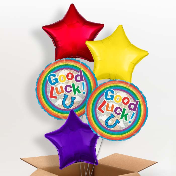 Good Luck Balloons in a Box (Horse Shoe) - 5 Balloon | Small Indoor Plants