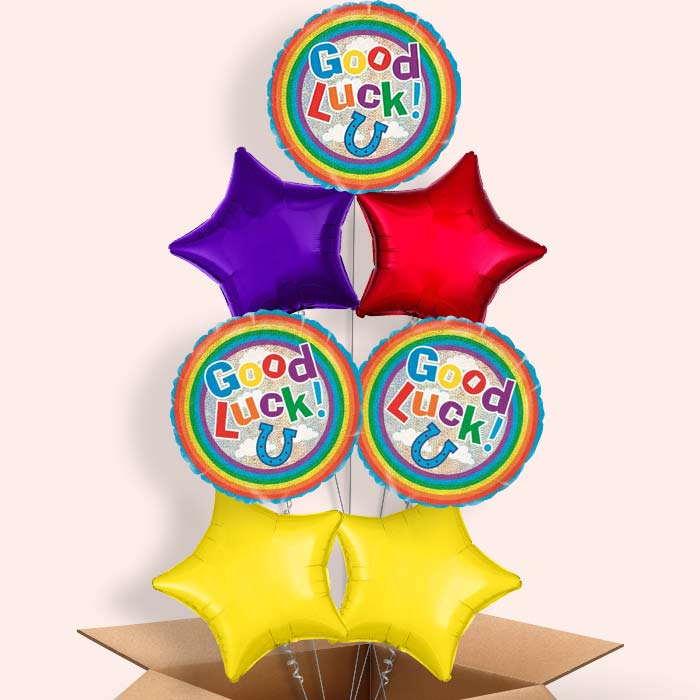 Good Luck Balloons in a Box (Horse Shoe) - 7 Balloon | Small Indoor Plants