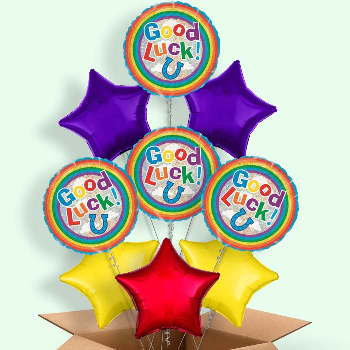 Good Luck Balloons in a Box (Horse Shoe) - 9 Balloon | Small Indoor Plants