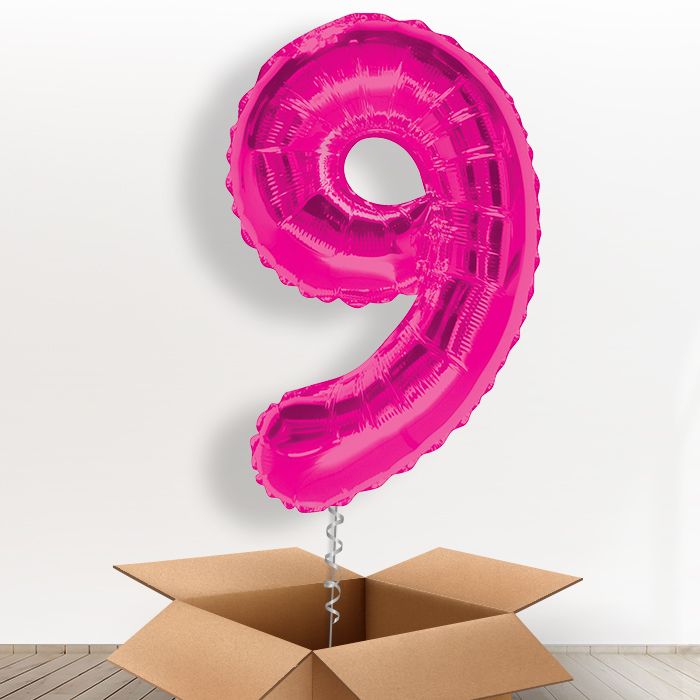 Pink Giant Number 9 Balloon in a Box Gift - Giant Number | Small Indoor Plants