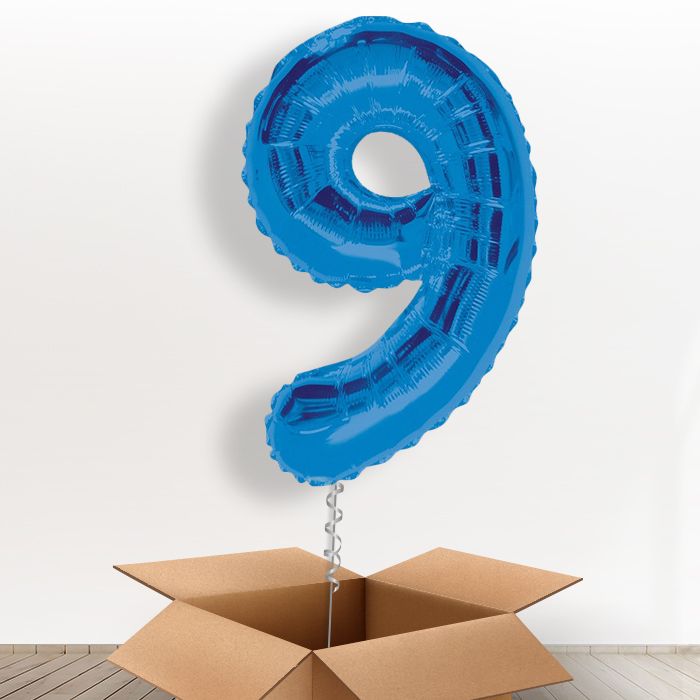 Blue Giant Number 9 Balloon in a Box Gift - Giant Number | Small Indoor Plants