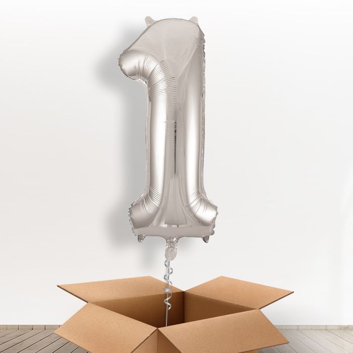 Silver Inflated 1 Balloon Delivered in a Box - Giant Number | Small Indoor Plants