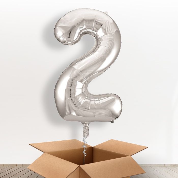 Big Silver Number 2 Balloon Number in a Box - Giant Number | Small Indoor Plants