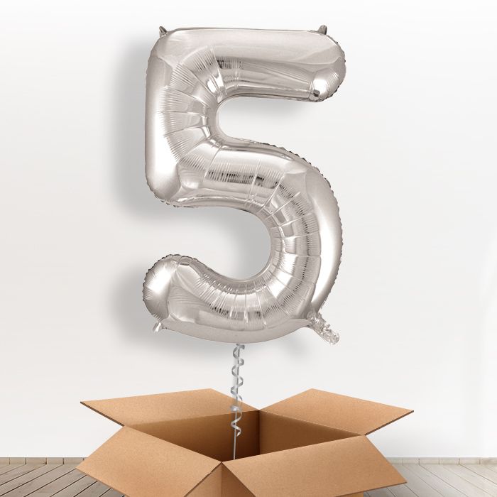 Big Silver Number 5 Balloon Number in a Box - Giant Number | Small Indoor Plants
