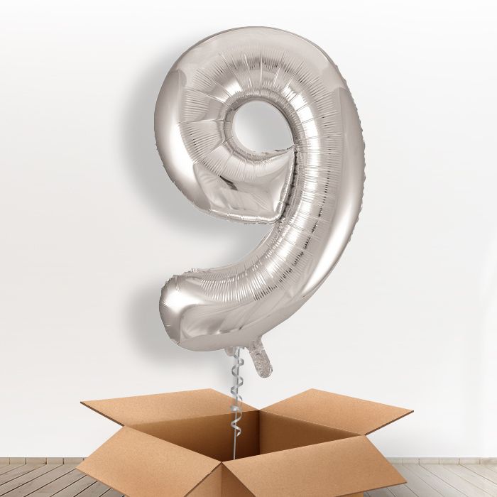 Silver Giant Number 9 Balloon in a Box Gift - Giant Number | Small Indoor Plants
